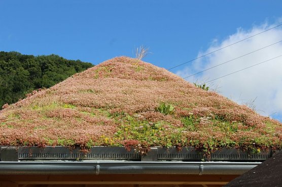 Informationspunkt f&uuml;r Touristen &uuml;bergeben (Foto: Karl-Heinz Herrmann)