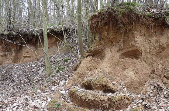 Kunst am Wegesrand (Foto: Karl-Heinz Herrmann)