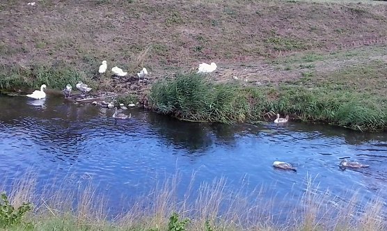 Nicht viel Neues? (Foto: Karl-Heinz Herrmann) Nicht viel Neues? (Foto: Karl-Heinz Herrmann)