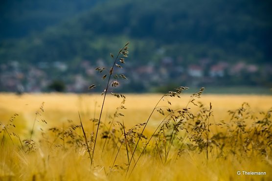 Wetter-Bild (Foto: Gernot Thelemann)
