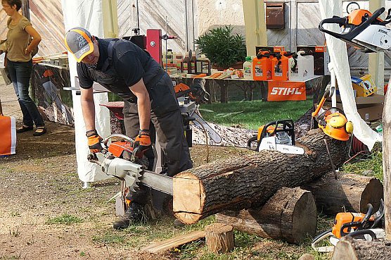 8. Holzmarkt Hohe Schrecke... (Foto: Verein Hohe Schrecke) 8. Holzmarkt Hohe Schrecke... (Foto: Verein Hohe Schrecke)