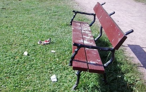 M&uuml;llbeh&auml;lter im Schlosspark (Foto: Karl-Heinz Herrmann)