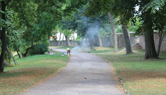 Grillparty im Schlosspark? (Foto: Karl-Heinz Herrmann)