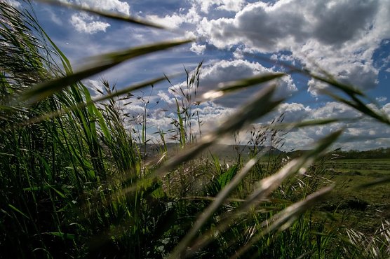 Wetter-Bild (Foto: Gernot Thelemann)