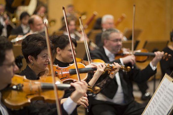 Neue Angebote der Touristinformation Sondershausen (Foto: Tilman Graner)