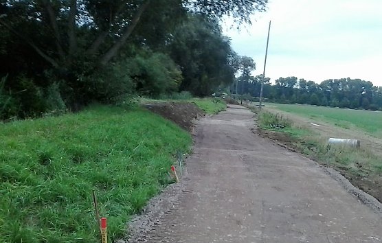 Fischsterben und Bauarbeiten (Foto: Karl-Heinz Herrmann)