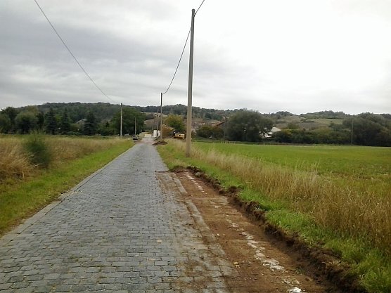 Fischsterben und Bauarbeiten (Foto: Karl-Heinz Herrmann)