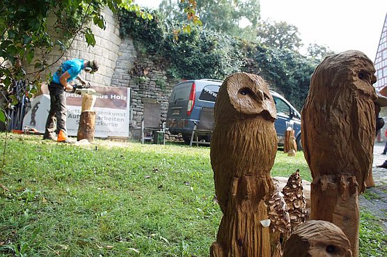 Holzmarkt Hohe Schrecke (Foto: Hohe Schrecke)