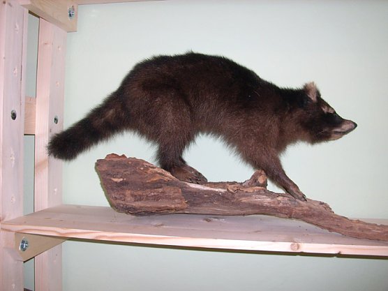 Im Lernort Natur (Foto: Karl-Heinz Herrmann)