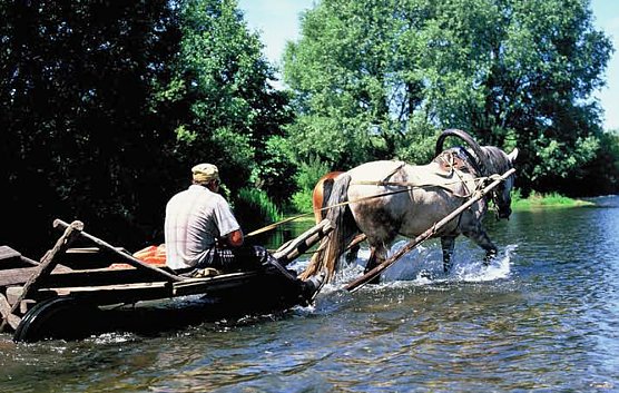 Blockfl&ouml;te und Ru&szlig;land-Bilder (Foto: M&uuml;cke)