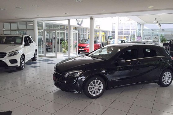 Der 269. Tag &uuml;berraschte mit vier Neuen (Foto: Heidrun Fischer)