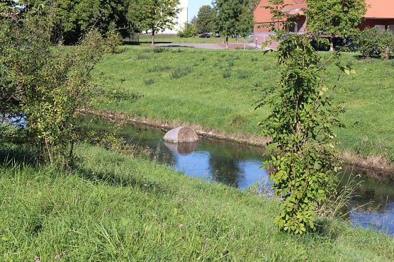 Erspart die Biotonne (Foto: Privat)