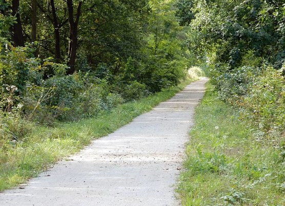 Ein Bahndammvergleich (Foto: Andreas Zeidler)