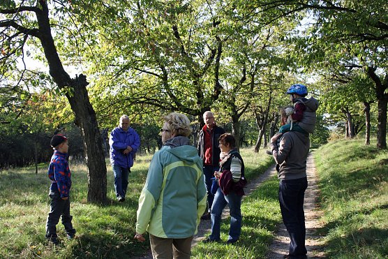 Wie sieht der Kirschberg nach der Entbuschung aus? (Foto: Nadine Peinelt  Naturstiftung David)