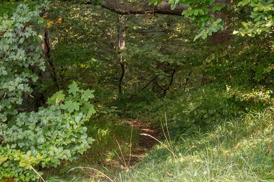 Wetter-Bild (Foto: Gernot Thelemann)