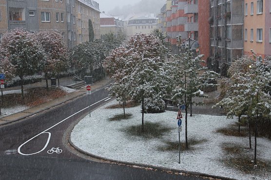 Wei&szlig;e &Uuml;berraschung (Foto: Karl-Heinz Herrmann)