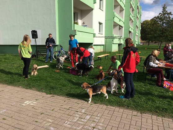 Stadtteilfest Am Tischplatt � Ein toller Erfolg (Foto: Privat)