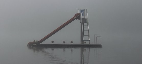 Brrr! Sehr k&uuml;hl beim Abbaden (Foto: Karl-Heinz Herrmann)