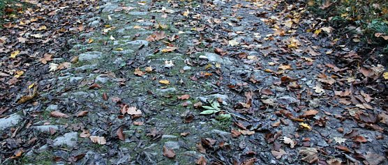 Radwanderer aufpassen! (Foto: Karl-Heinz Herrmann)