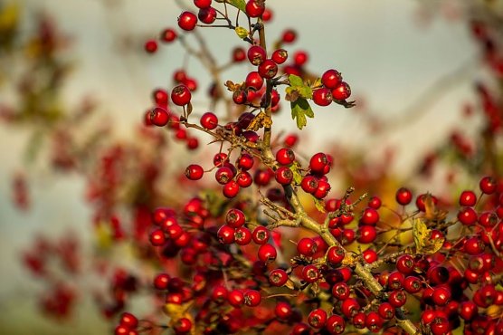 Wetterbild (Foto: Gernot Thelemann)