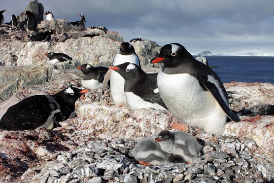 Klima wandelt Th&uuml;ringen (Foto: Rene Most)