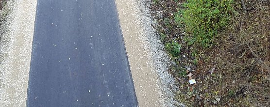 Massenwanderung auf dem Radweg (Foto: Karl-Heinz Herrmann)