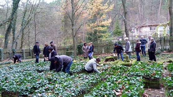 Gedenken zum 77. Jahrestag der Reichspogromnacht (Foto: Peter Möbius) Gedenken zum 77. Jahrestag der Reichspogromnacht (Foto: Peter Möbius)