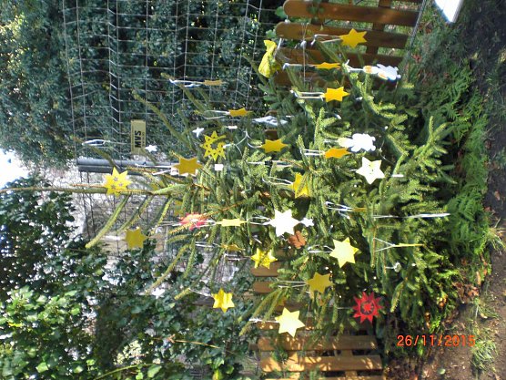 Weihnachtsbaum am Schiefen geschmückt (Foto: Arbeitsgruppe des Fördervereins) Weihnachtsbaum am Schiefen geschmückt (Foto: Arbeitsgruppe des Fördervereins)