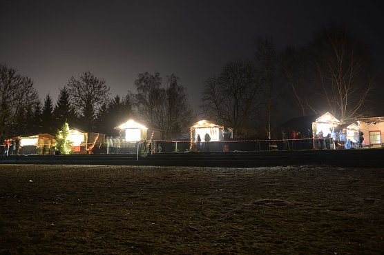 Weihnachtstauchen am Bebraer Teich (Foto: DRK Sondershausen)