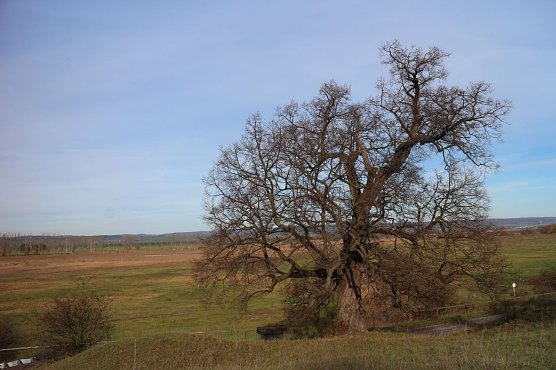 Wetterbild (Foto: Angelo Glashagel)