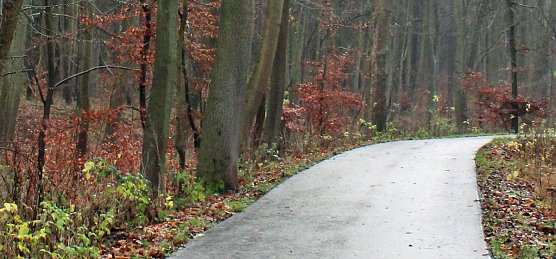 Verkehrssicherungspflicht mit Augenmaß? (Foto: Karl-Heinz Herrmann) Verkehrssicherungspflicht mit Augenmaß? (Foto: Karl-Heinz Herrmann)