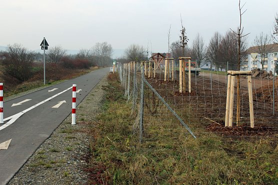 Ausgleichsma&szlig;nahmen werden sichtbar (Foto: Karl-Heinz Herrmann)
