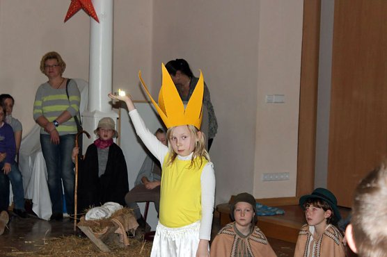 Der Weihnachtsstern (Foto: Karl-Heinz Herrmann)