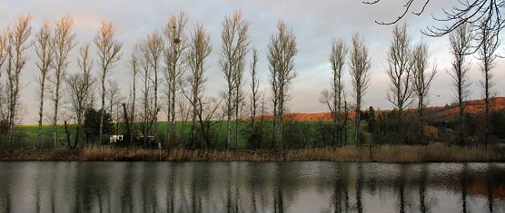 Kahlschlag um und hinterm Hammateich? (Foto: Karl-Heinz Herrmann)