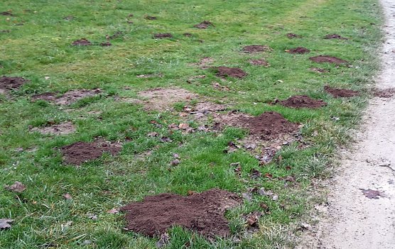 Nicht nur gr&uuml;ne Oasen (Foto: Privat)