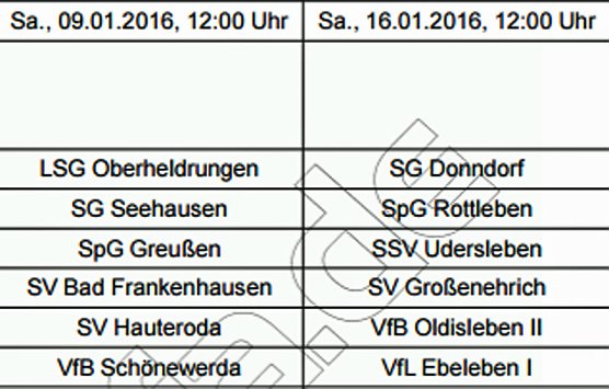 Futsal der Senioren (Foto: Nordth&uuml;ringer Fu&szlig;ballverband)