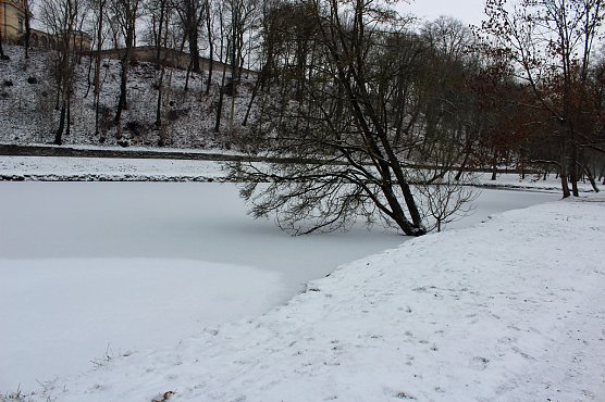 Gef&auml;hrlicher Leichtsinn auf Parkteich (Foto: Karl-Heinz Herrmann)