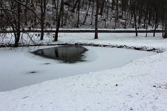 Gef&auml;hrlicher Leichtsinn auf Parkteich (Foto: Karl-Heinz Herrmann)