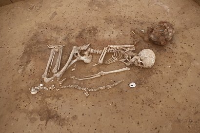 Jungsteinzeitlicher Feuersteinbergbau und bronzezeitliche Infrastruktur (Foto: TLDA Weimar)