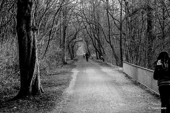 Wetter-Bild (Foto: Gernot Thelemann)