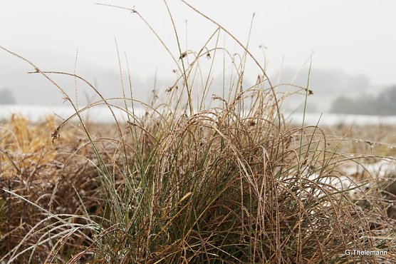 Wetter-Bild (Foto: Gernot Thelemann)