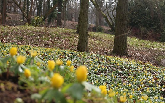 Wetterbild (Foto: Angelo Glashagel) Wetterbild (Foto: Angelo Glashagel)