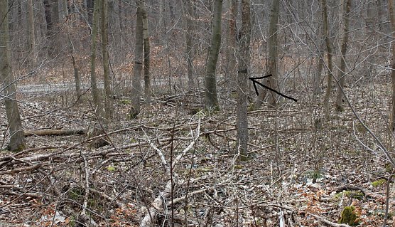 B&uuml;rgerinitiative mit Staatssekret&auml;r unterwegs (Foto: Karl-Heinz Herrmann)