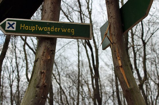 Im Wald gew&uuml;tet (Foto: Karl-Heinz Herrmann)