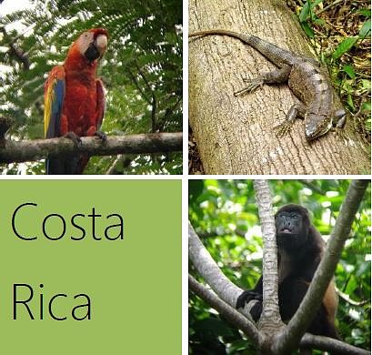 Eine Reise nach Mittelamerika (Foto: Uwe Vogt)