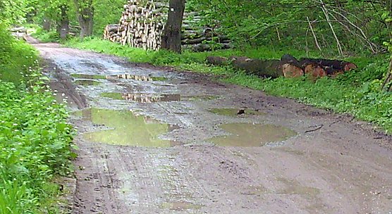 Hammatal wieder begehbar? (Foto: Karl-Heinz Herrmann)