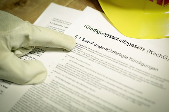 Paragrafen-Lotsen f&uuml;r Besch&auml;ftigte im Kyffh&auml;userkreis (Foto: ID BAU)