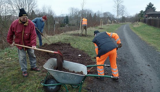 Linden f&uuml;r den alten Bahndamm (Foto: IG Unstrutbahn)
