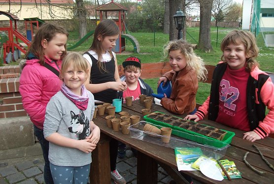 Kleine G&auml;rtner im DOMizil (Foto: Karl-Heinz Herrmann)
