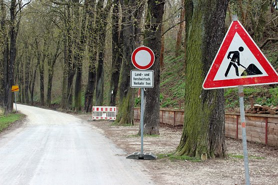 Waldwegebau im Hammatal von Sondershausen (Foto: Karl-Heinz Herrmann)